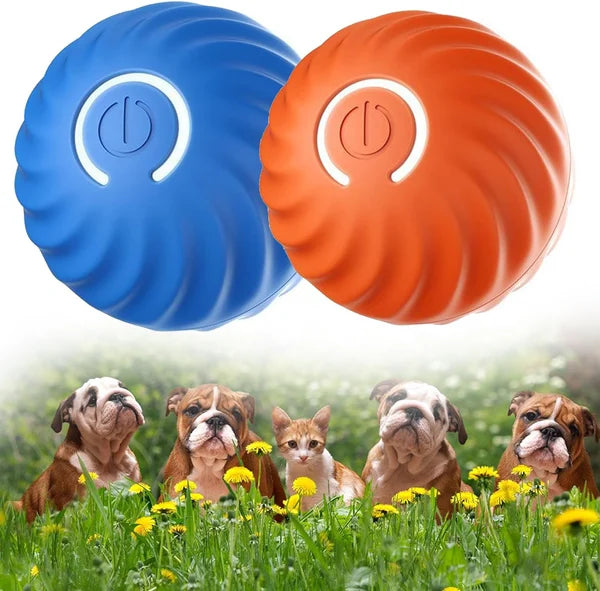 PawsPlay™ - Automatischer Smart Teasing Hundeball