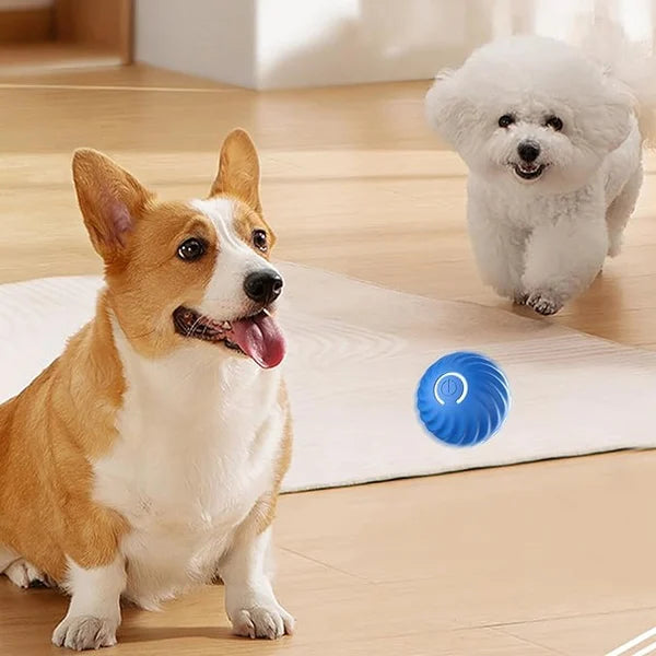 PawsPlay™ - Automatischer Smart Teasing Hundeball